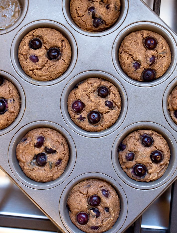 Muffins de mirtilo com proteína em pó Muffins de mirtilo com proteína em pó