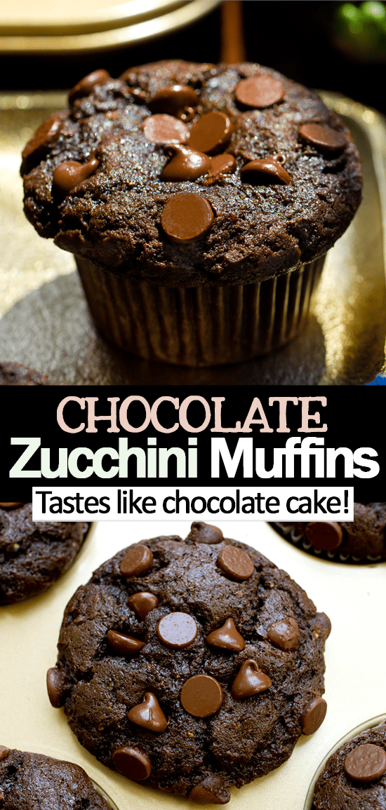 Receita fácil de muffins de chocolate com abobrinha Receita fácil de muffins de chocolate com abobrinha